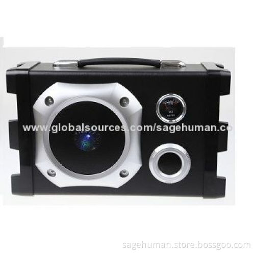 Subwoofer Bluetooth Speaker with LED Light, Karaoke Function